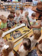 większy obrazek nr 22