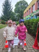 większy obrazek nr 2