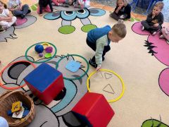 większy obrazek nr 6