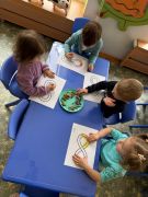 większy obrazek nr 5