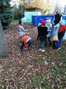 ilustracja do wpisu 
Ratujmy Kasztanowce