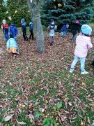 większy obrazek nr 5