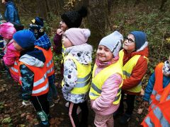 większy obrazek nr 3