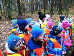 większy obrazek nr 4