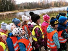 większy obrazek nr 5