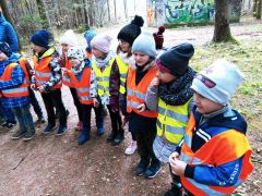 większy obrazek nr 9