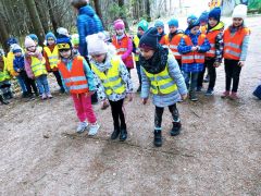 większy obrazek nr 10