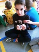 większy obrazek nr 3