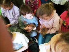 większy obrazek nr 5