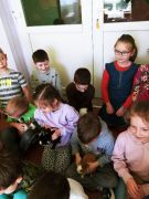 większy obrazek nr 8