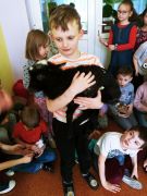 większy obrazek nr 13