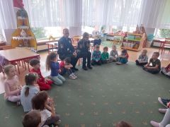 większy obrazek nr 1