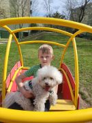 ilustracja do wpisu 
Zajęcia terapeutyczne z pieskiem Charliem 🐩🥰