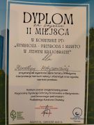 większy obrazek nr 2