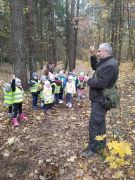 większy obrazek nr 9