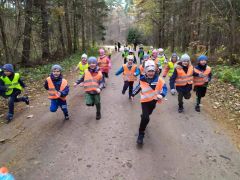 większy obrazek nr 14