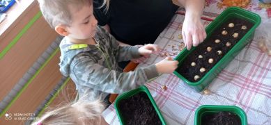 większy obrazek nr 3