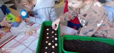 większy obrazek nr 4