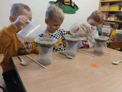 większy obrazek nr 5