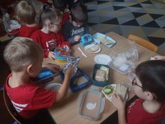 większy obrazek nr 2