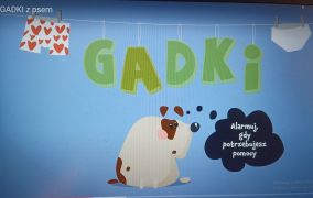 większy obrazek nr 5