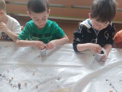 większy obrazek nr 6