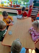 większy obrazek nr 3