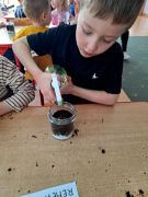 większy obrazek nr 9