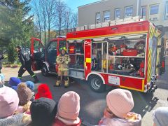 większy obrazek nr 2