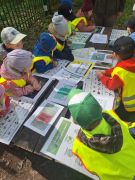 większy obrazek nr 2