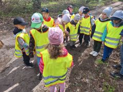 większy obrazek nr 3