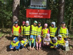 większy obrazek nr 5