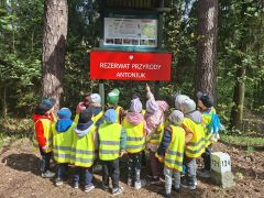 większy obrazek nr 6