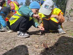 większy obrazek nr 8