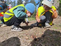 większy obrazek nr 9