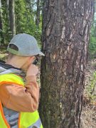 większy obrazek nr 10