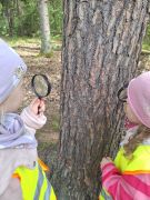 większy obrazek nr 11