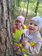 większy obrazek nr 12