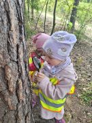 większy obrazek nr 13