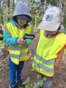 większy obrazek nr 15