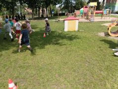 większy obrazek nr 3