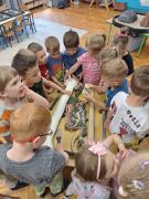 większy obrazek nr 2