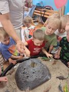 większy obrazek nr 7