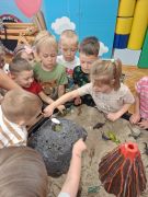 większy obrazek nr 8