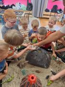 większy obrazek nr 10