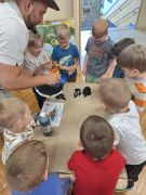 większy obrazek nr 11