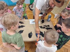 większy obrazek nr 15