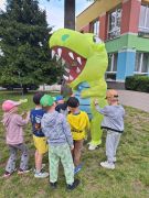 większy obrazek nr 18