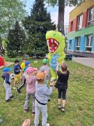 większy obrazek nr 21