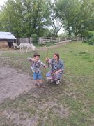 większy obrazek nr 6